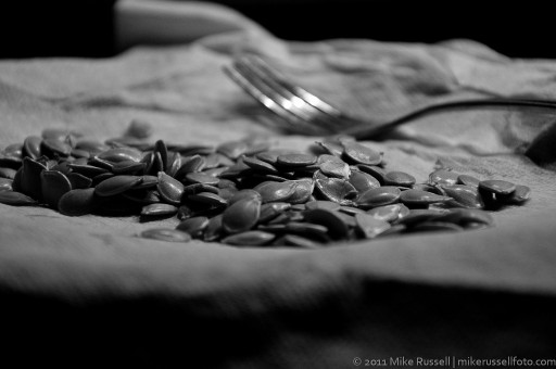365 Day 1 - Seeds