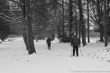 Cross-country Skiers at Hiawatha Playfield