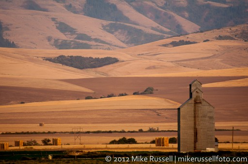Day 283: Wheat Fields