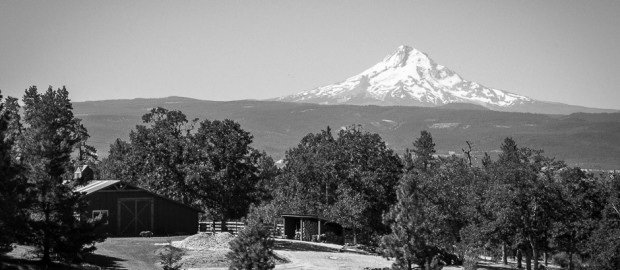 2012-Year-End-MikeRussellFoto-36